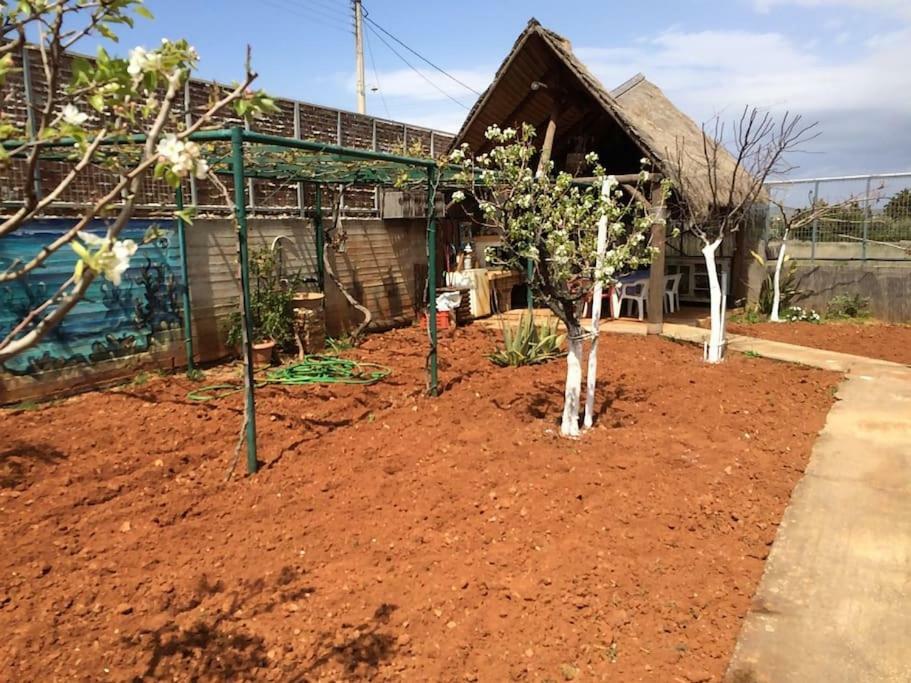 Country Rooms Near Athens - Airport ヴラヴローナ エクステリア 写真