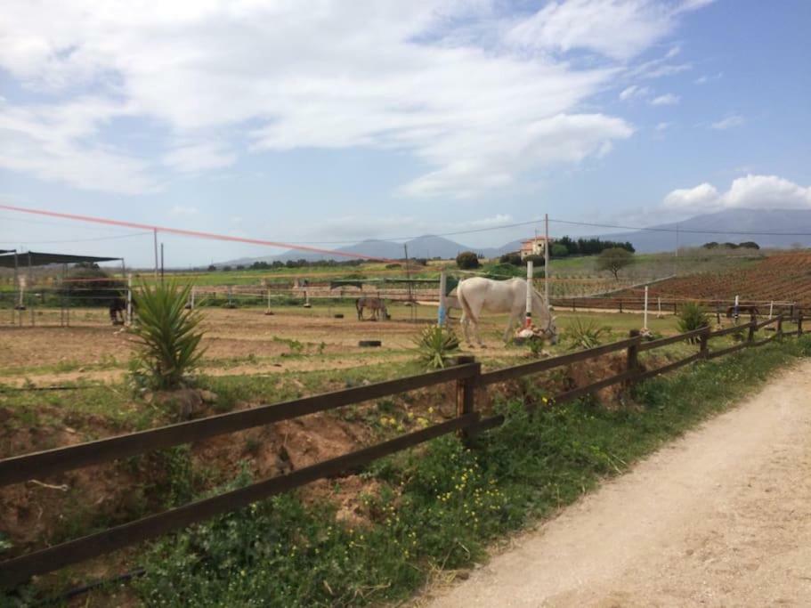 Country Rooms Near Athens - Airport ヴラヴローナ エクステリア 写真