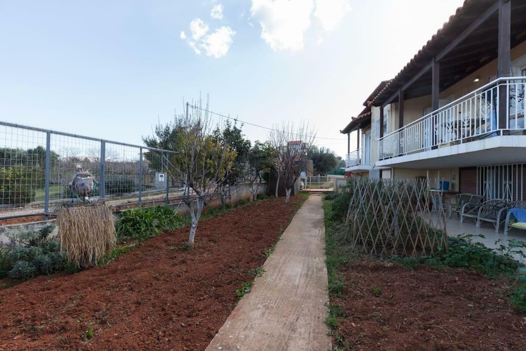 Country Rooms Near Athens - Airport ヴラヴローナ エクステリア 写真